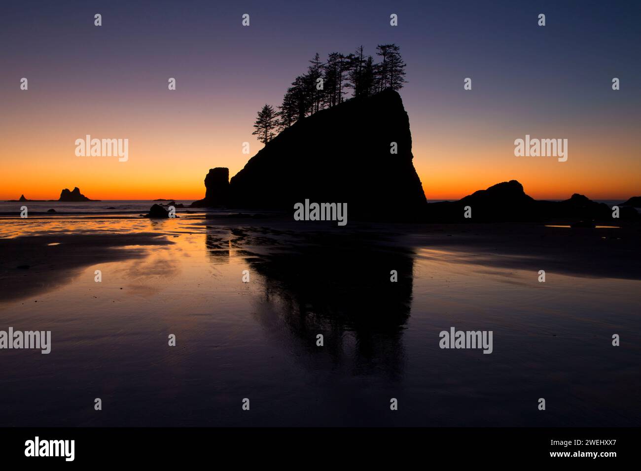 Deuxième plage coucher du soleil, Olympic National Park, Washington Banque D'Images