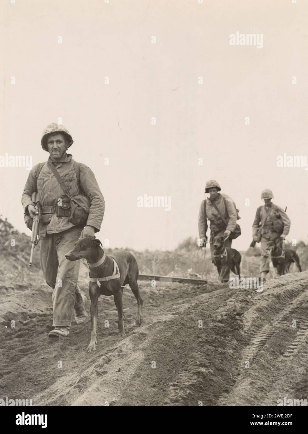 Les membres d'une unité K-9 avancent lors de la bataille d'Iwo Jima 1945 Banque D'Images