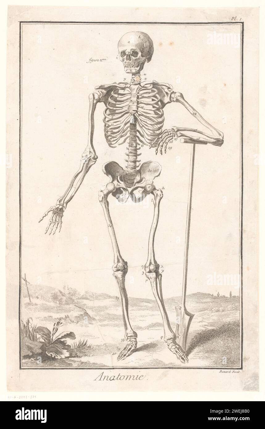 Représentation anatomique de l'homme, Robert Benard, 1744 - 1777 estampe numérotée en haut à droite pl. I. physiologie et anatomie de la gravure sur papier. squelette (humain). tombe, tombe Banque D'Images