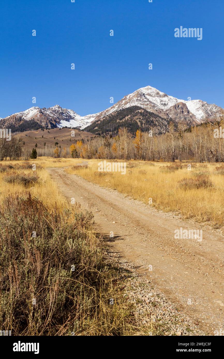 Boulder Creek Road dans la Sawtooth National Recreation Area près de Sun Valley, Idaho, États-Unis, en direction de Boulder Basin Trailhead. Banque D'Images