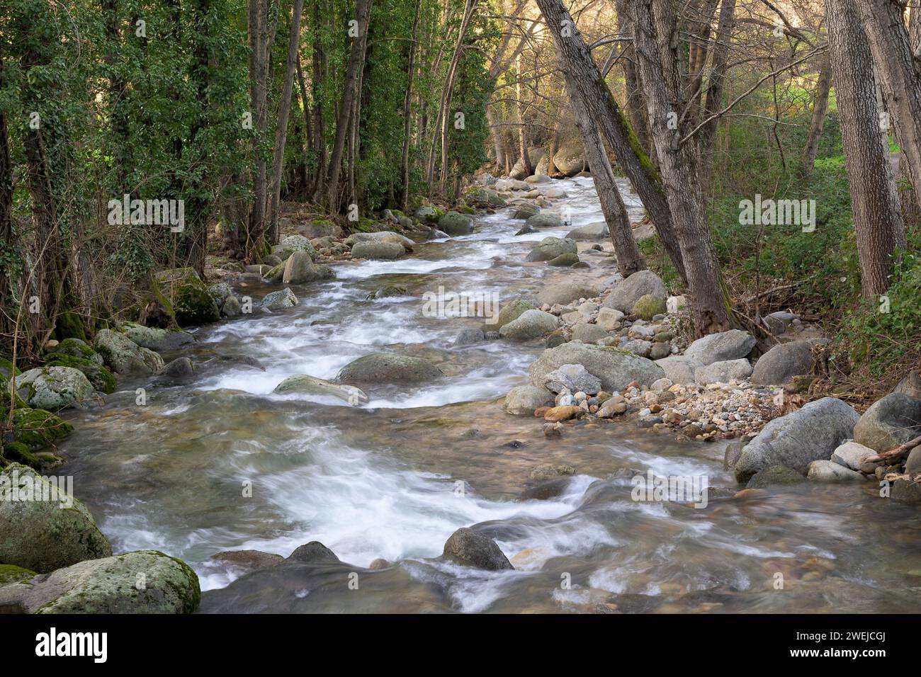 Rivière de montagne Ambroz courant rapidement à travers une galerie d'arbres avec des roches érodées horizontalement Banque D'Images