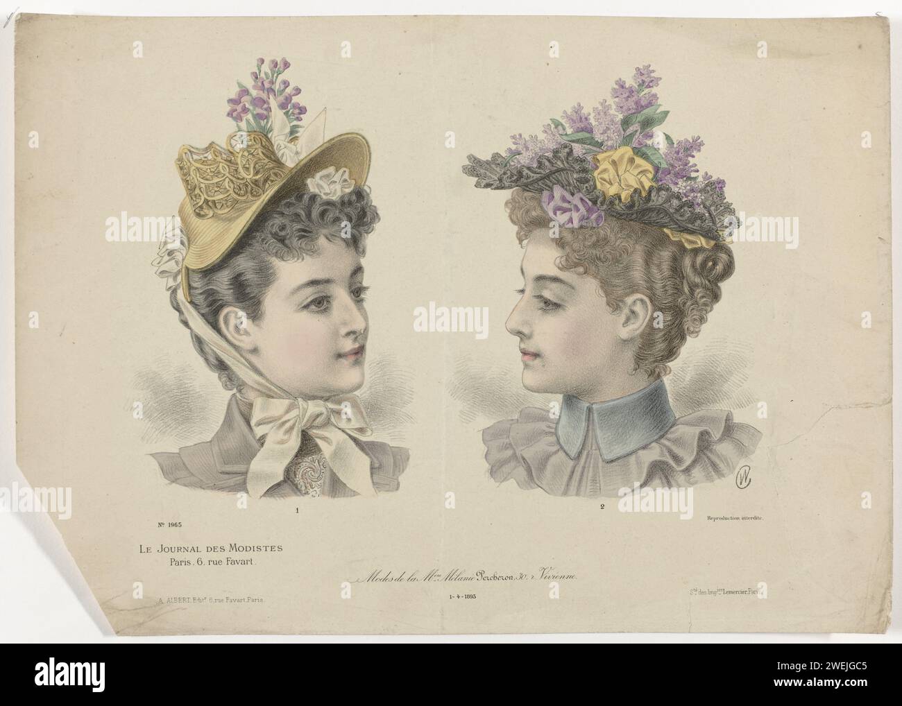 Le Journal des modificateurs, 1-4-1893, n° 1965 : modes du monde Mélani (...), 1893 deux têtes de femmes à chapeaux différents, numérotées 1 et 2. Gauche : chapeau, modèle ovale étiré avec une sphère basse, bord avant large et bord arrière étroit. Décoré de fleurs, ruban ajouré et rubans noeuds. Droite : chapeau avec bordure ondulée, décoré avec deux couleurs de ruban et de lilas. Selon la légende : 'modes' de Mélanie Percheron. Tirage du magazine de mode le Journal des Modistes (1870-1915). assiettes de mode en papier. casque : chapeau (+ vêtements pour femmes). fleurs : lilas. bordure, ruban, tresse (+ femmes c Banque D'Images