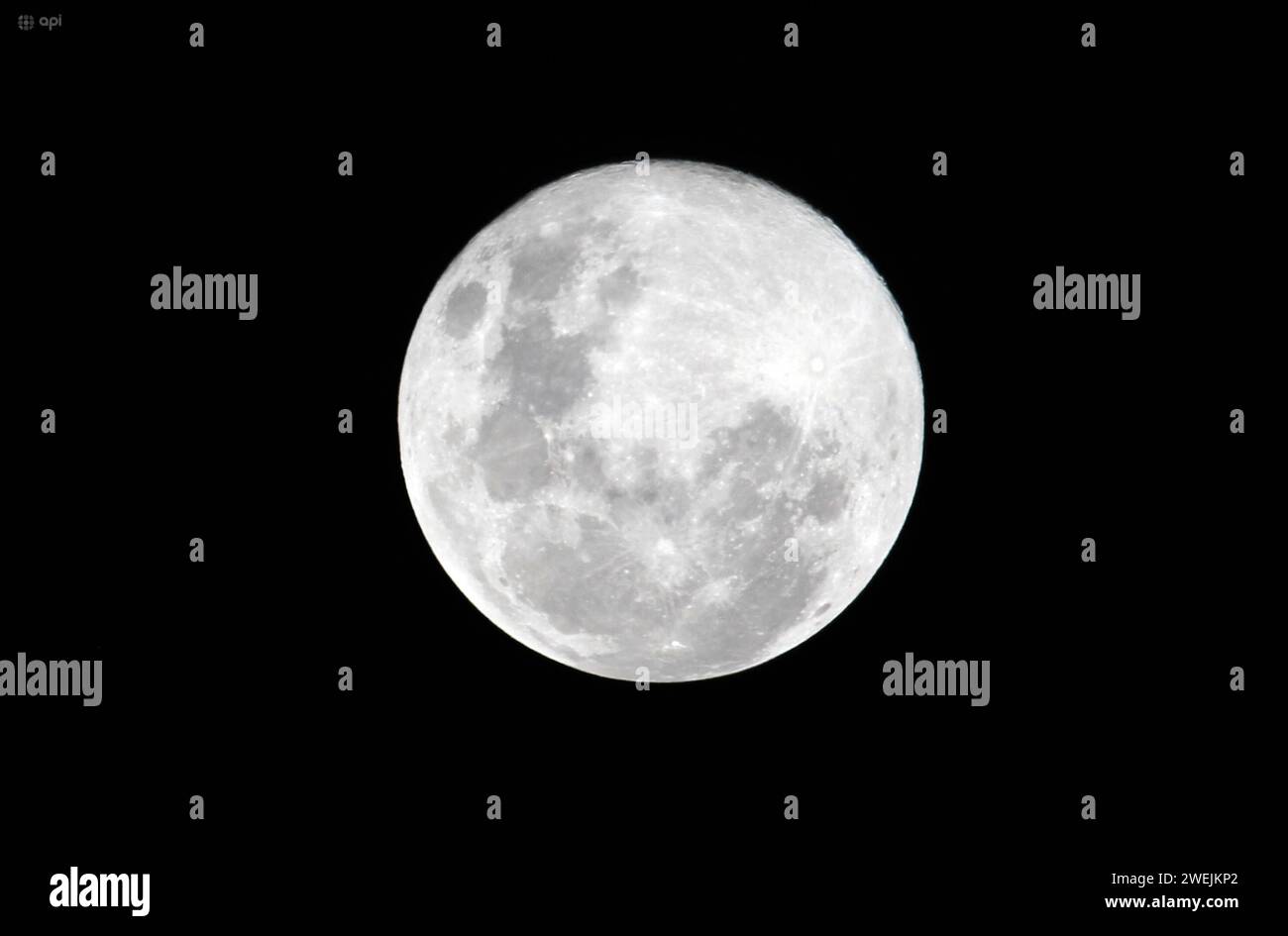 CUENCA-LUNA LLENA-LOBO Cuenca,Ecuador 25 de enro de 2024 la primera luna llena del nuevo ano, conocida como Luna del Lobo, brillo la noche de hoy en el cielo nocturne de Cuenca. Luna llena del Lobo : este jueves 25 de enero se podo apreciarse en Ecuador el primer plenilunio del ano, tambiÃ n llamado la Luna del Lobo, se observa a finales de enero y despierta curiosidad sobre el origen de su nombre. foto Boris Romoleroux/API. SOI-CUENCA-LUNALLENA-LOBO-7ceed3696aa73d1430cda6f3fca01780 *** CUENCA LUNA LLENA LOBO Cuenca, Équateur 25 janvier 2024 la première pleine lune de la nouvelle année, connue sous le nom de WOL Banque D'Images