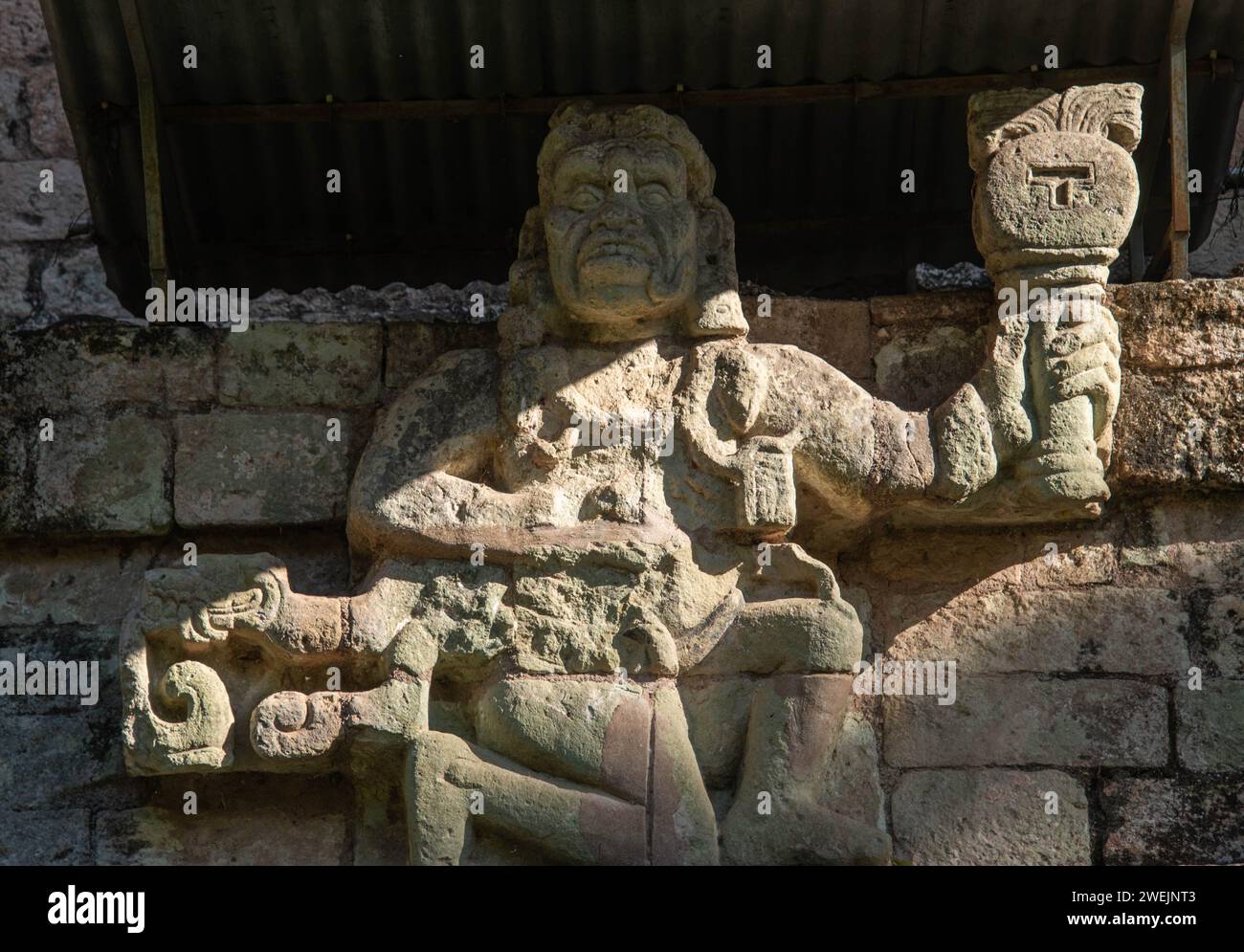 Sculpture aux ruines mayas de Copan, ruines de Copan, Honduras Banque D'Images