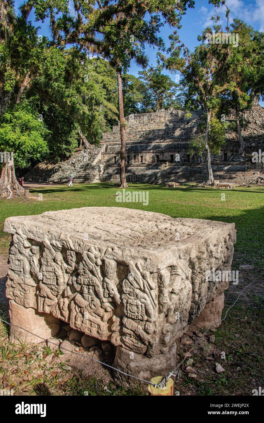 Sculpture aux ruines mayas de Copan, ruines de Copan, Honduras Banque D'Images