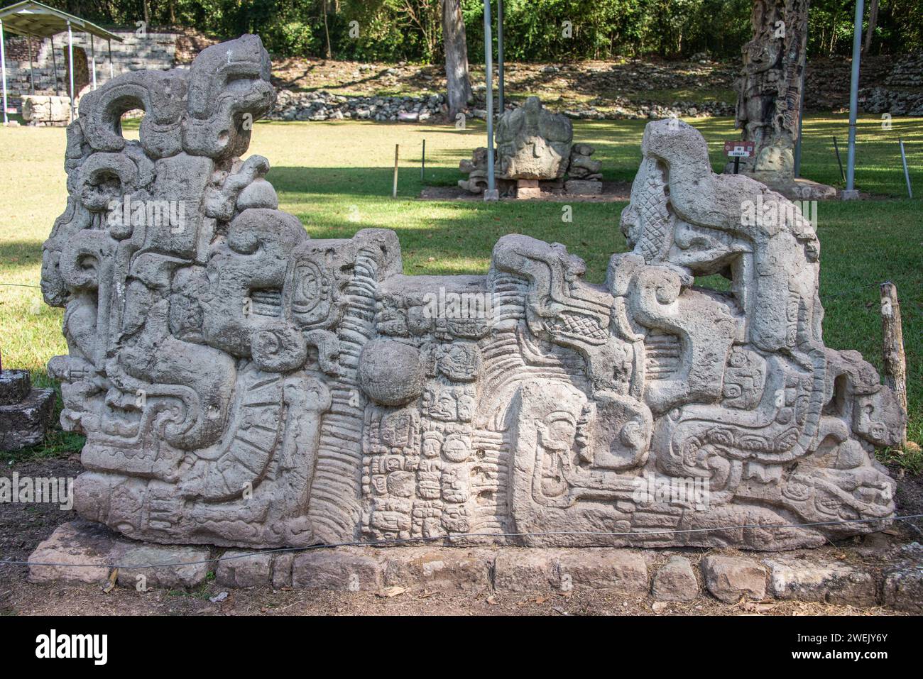 Sculpture aux ruines mayas de Copan, ruines de Copan, Honduras Banque D'Images