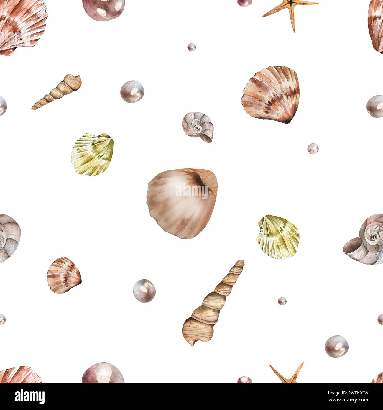 Motif sans couture de l'illustration d'aquarelle Seashell. coquilles de tarière, tun bandé, escargot turban tapisserie, perles. Isolat de coquillages dessinés à la main à l'aquarelle Banque D'Images