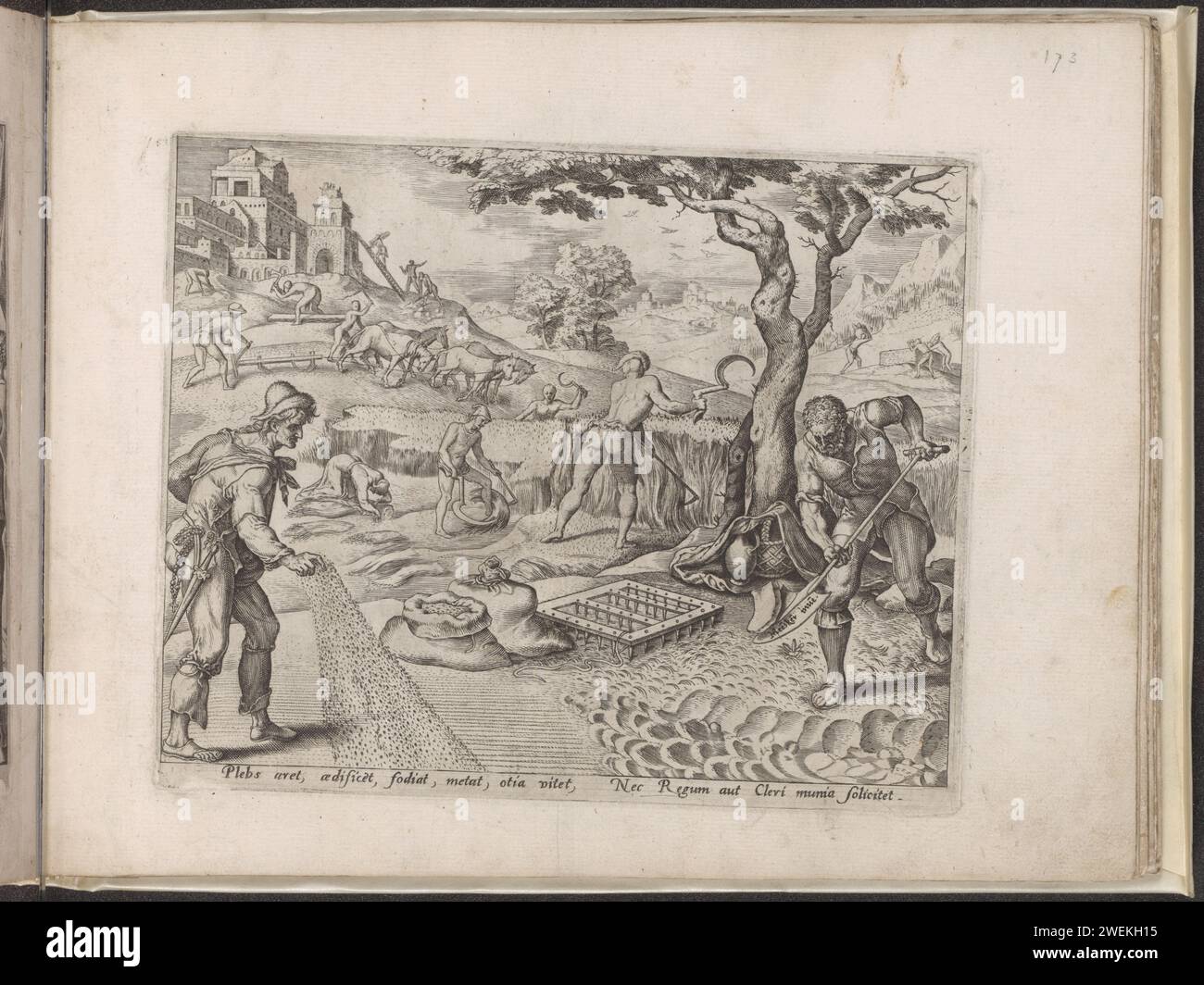 Travail comme tâche de la troisième position, 1563 - 1570 imprimer au premier plan, les agriculteurs travaillent sur le terrain et dans le champ. Ils sèment, tondent, labourent et creusent. Construire et récolté en arrière-plan. Ces agriculteurs représentent la majorité de la population, la troisième position. Ils doivent travailler pour nourrir le reste de la population. Sous la performance un texte explicatif en latin. Ce tirage fait partie d'un album. classe ouvrière de gravure sur papier, ouvriers. agriculteurs. agriculture. activités de construction Banque D'Images