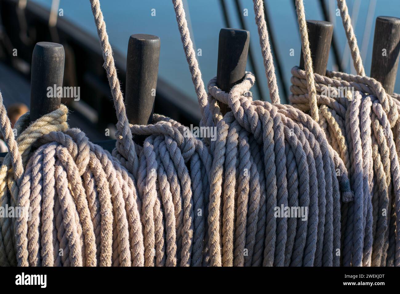 Une mosaïque intime de cordes de bateau tissées de manière complexe Banque D'Images