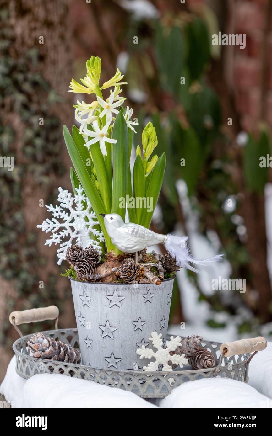 Pot à Jacinthe Décoratif Traîneau Père Noël Sapin Fleur Vintage