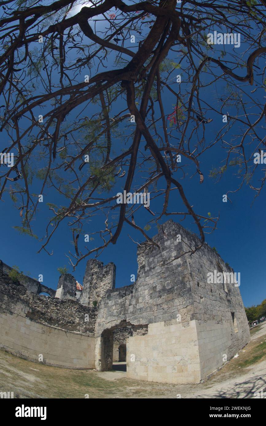 Branche arbre sec devant les ruines d'Oslob ( Museo Oslob ) ou église paroissiale à Oslob, Cebu aux Philippines. C'est un formidable édifice construit en corail. Banque D'Images