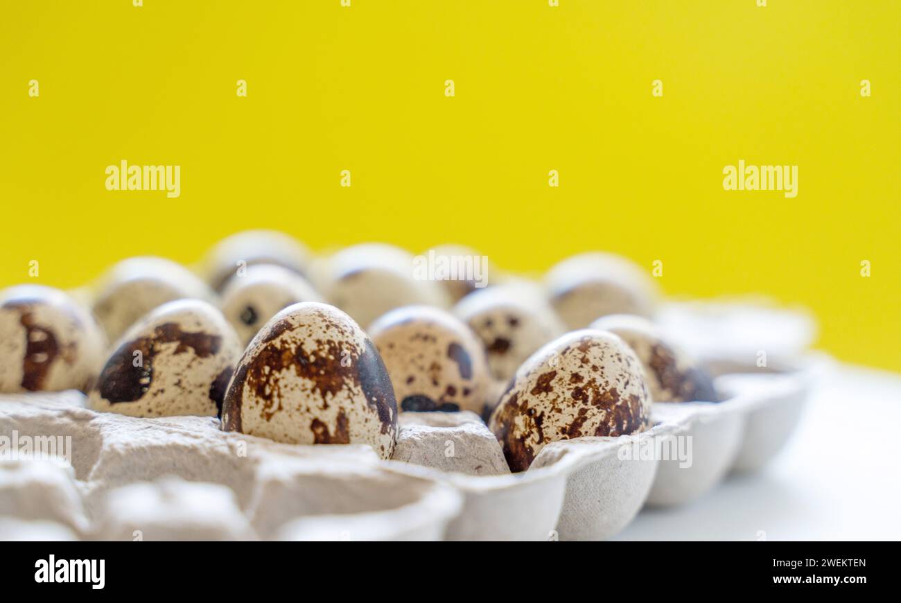 Œufs de caille tachetée dans une boîte à œufs sur fond jaune, produits écologiques naturels. Banque D'Images