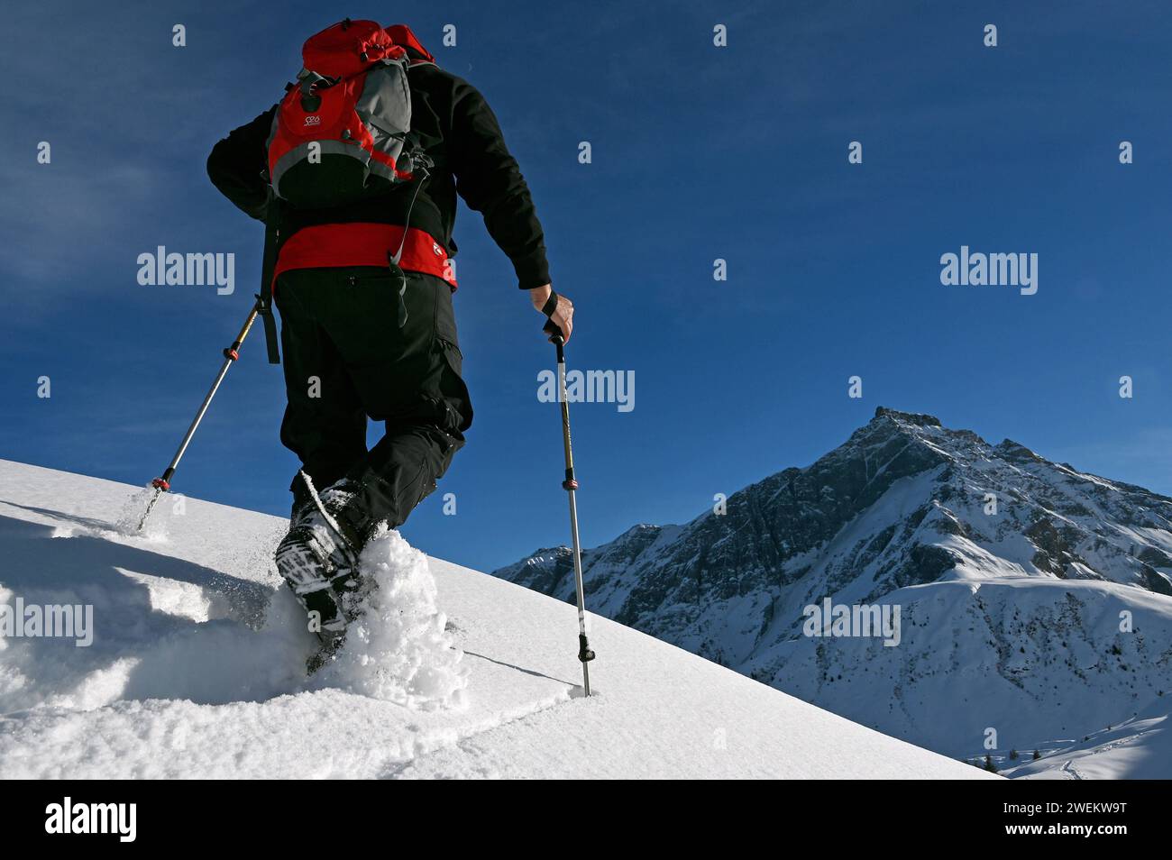 Schneeschuh Wandern im Naturpark Beverin, Graubünden, Schweiz *** randonnée en raquettes dans le Parc naturel Beverin, Graubünden, Suisse Banque D'Images