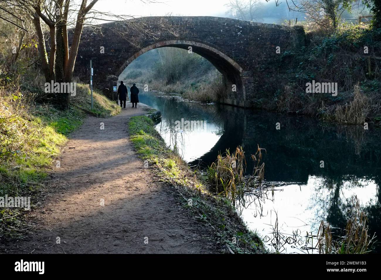 Matin d'hiver sur la Tamise et le canal Severn à Bowbridge Lock Stroud Glos Banque D'Images