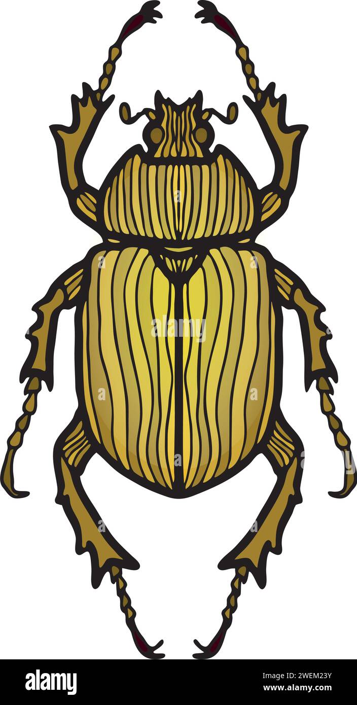 Artisanat délicat : le charme mystérieux de Golden Beetle, capturé dans une splendeur gothique opulente. Illustration de Vecteur