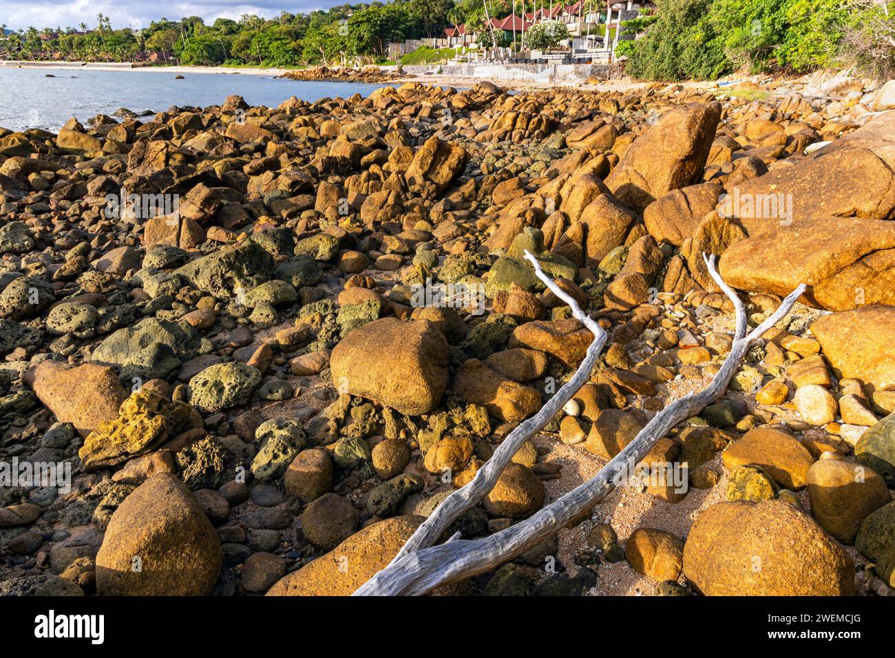 Rock Beach, Bo Phut, Ko Samui, Thaïlande Banque D'Images