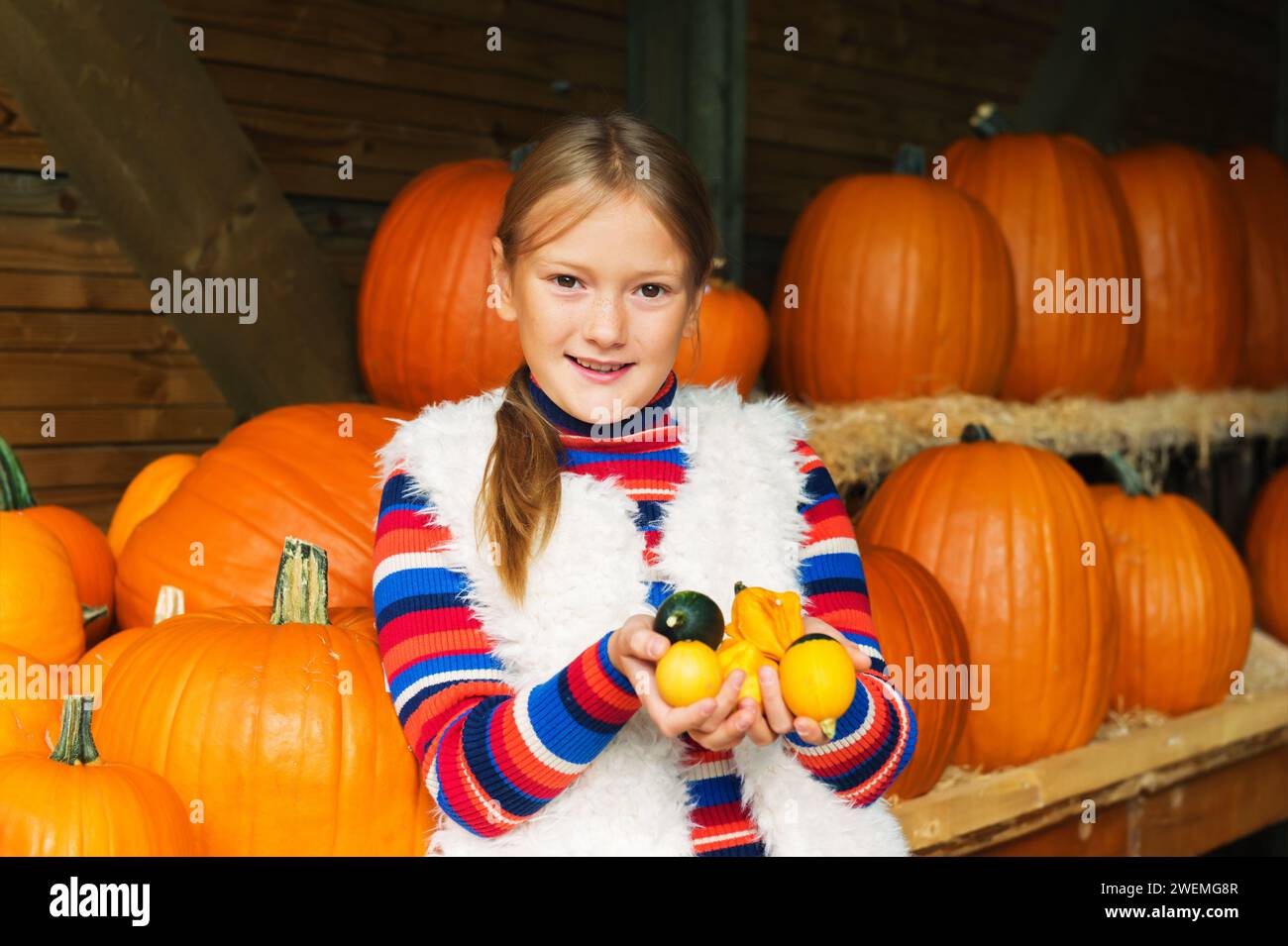 Adorable petite fille de 8-9 ans choisissant la citrouille d'halloween sur le marché de la ferme, s'amuser avec différents types de citrouilles inhabituels Banque D'Images