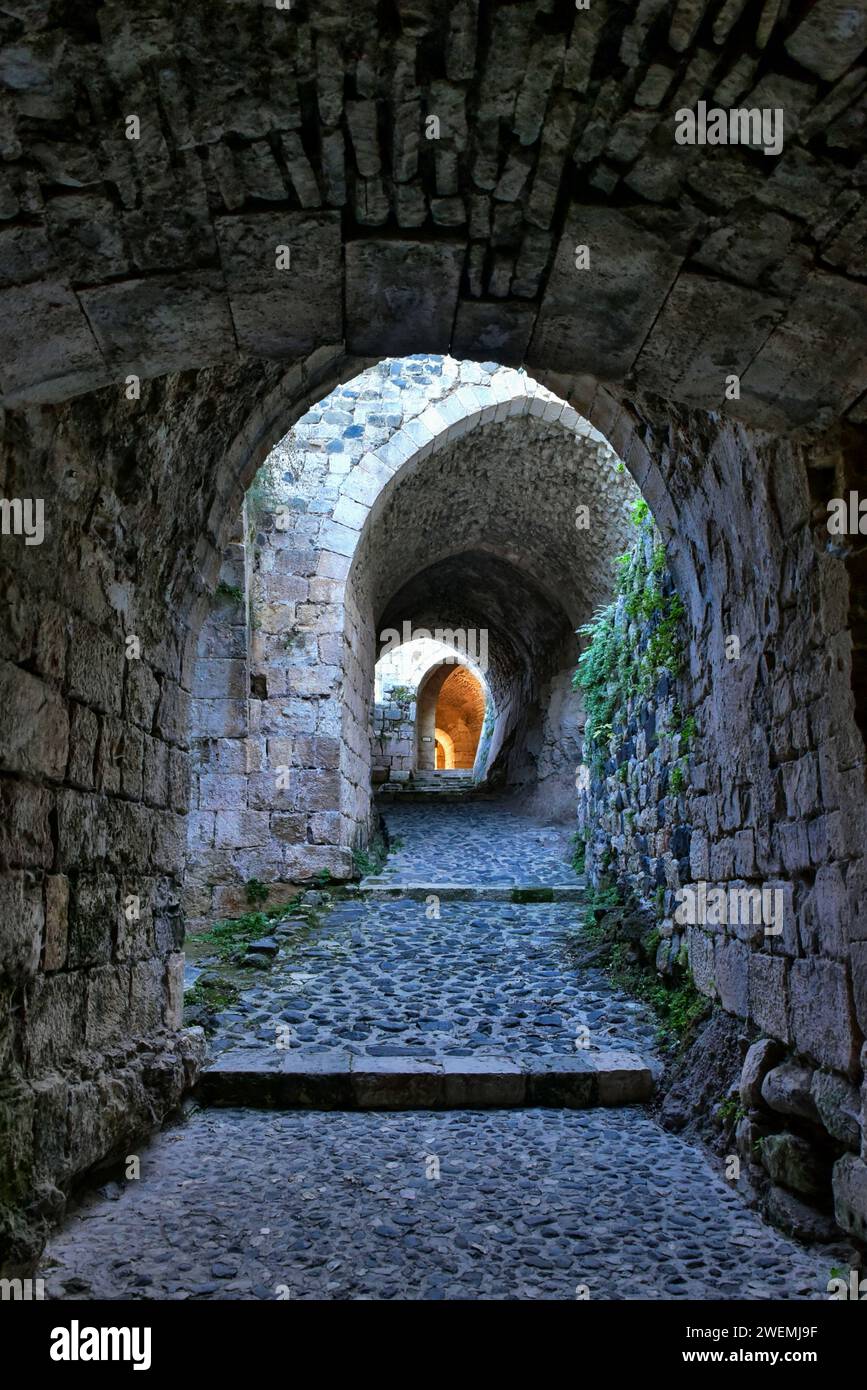 Intérieur du Krak des Chevaliers, l'un des châteaux médiévaux les mieux conservés au monde. Construit en 1031. Al-Husn, Syrie. Banque D'Images