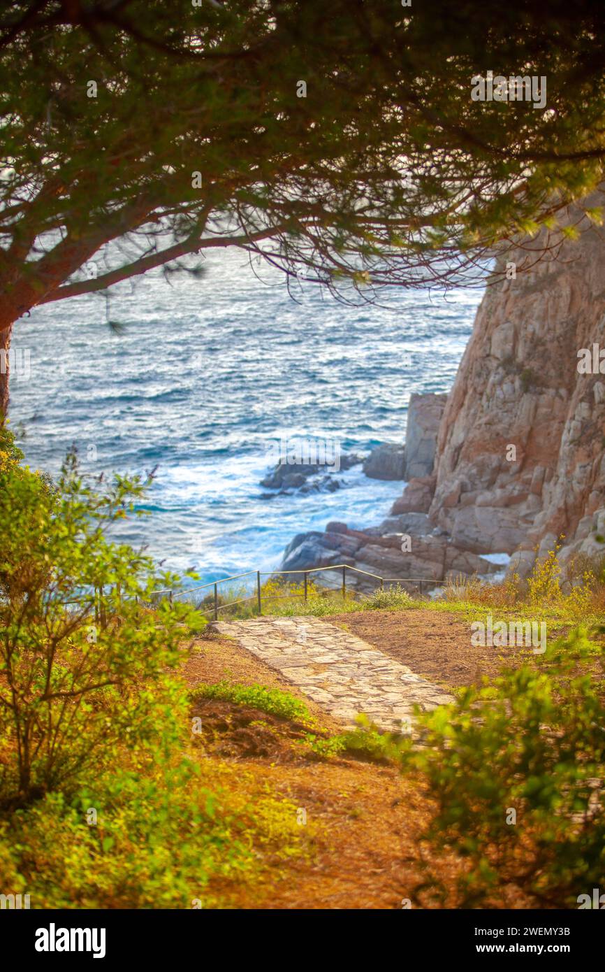 côte de mer, station, montagnes, forêt, mer, rochers, sentiers de montagne, touristique, station écologique, ville côtière, faune, ville côtière espagnole, Tossa de Banque D'Images
