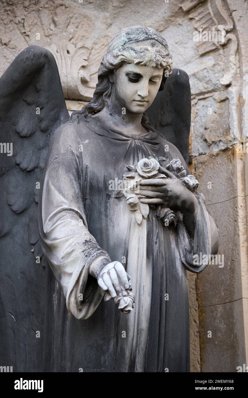 Statue d'un ange de deuil avec des roses et des ailes prononcées dans un cimetière, androgyne, figure d'ange femelle ou mâle avec des roses, tombe historique Banque D'Images