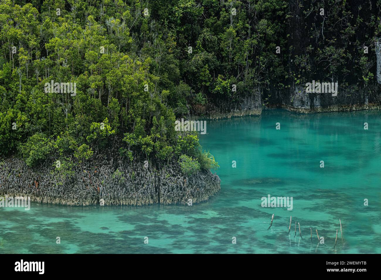 Le géosite Raja Ampat, l’un des plus beaux paysages que j’ai vus au monde. Ce cliché a été réalisé en Papouasie, Indonésie Banque D'Images