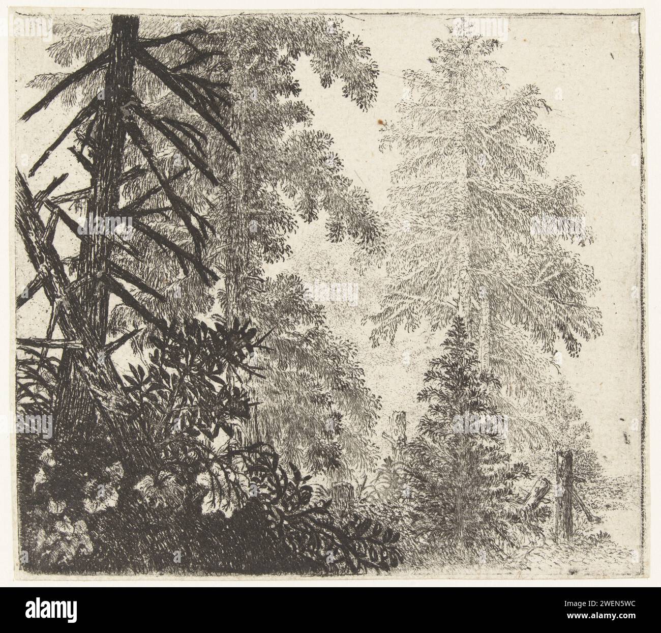 Paysage avec les deux épinettes, Jan van Broesterhuyzen, 1610 - 1650 papier gravure forêt, bois Banque D'Images