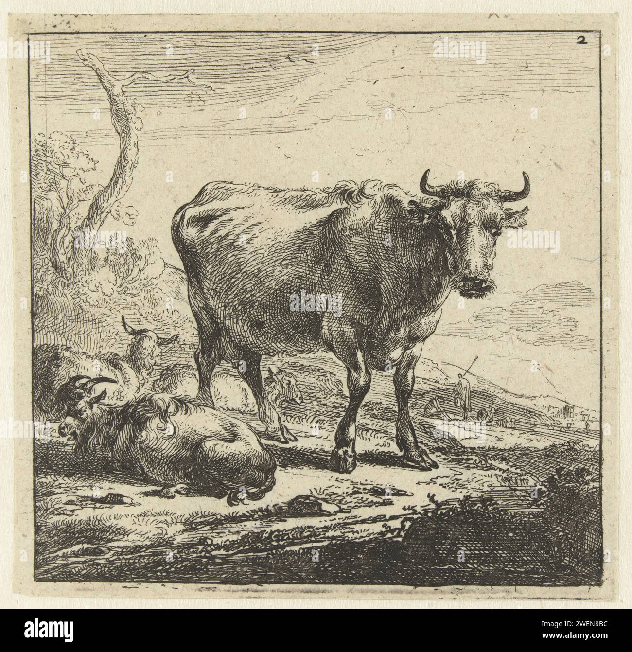 Vache, Nicolaes Pietersz Berchem, 1644 papier d'impression gravure vache Banque D'Images