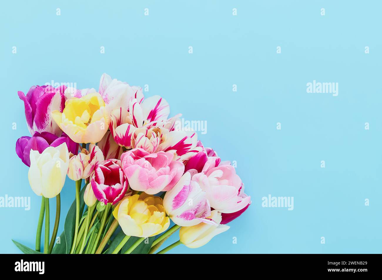 Bouquet de tulipes colorées sur fond bleu clair. Fête des mères, Saint Valentin, concept de célébration d'anniversaire. Carte de voeux. Espace de copie Banque D'Images