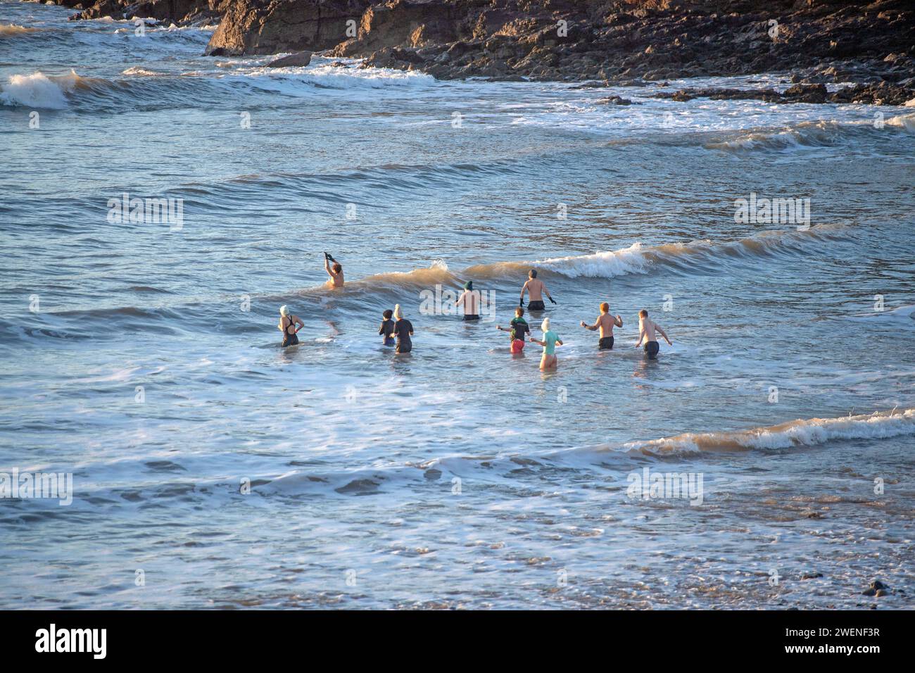 Swansea, Royaume-Uni. 26 janvier 2024. Ce matin, les nageurs bravent la mer froide de Langland Bay près de Swansea. Crédit : Phil Rees/Alamy Live News Banque D'Images