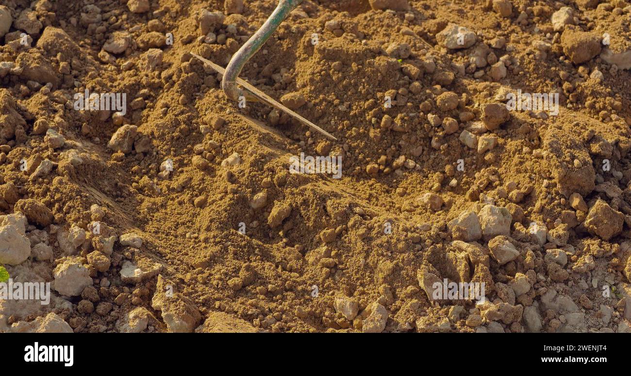 L'outil agricole est le champ de binage Banque D'Images