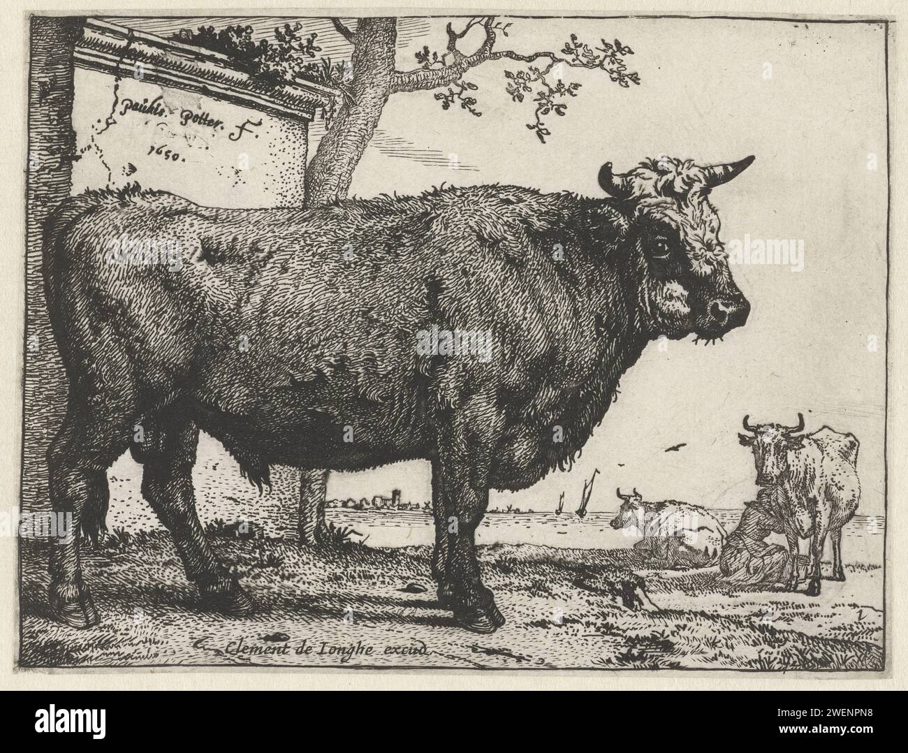 Paul Paul Potter, taureau Blaarkop imprimé en 1650, avec deux vaches en arrière-plan, dont une traite. taureau de gravure de papier Banque D'Images