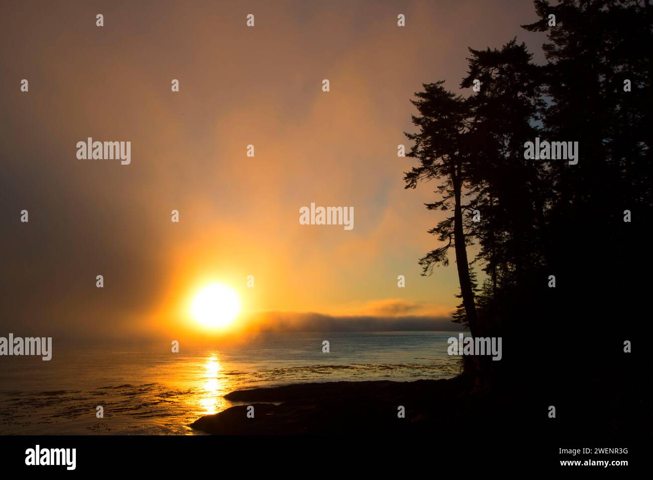 Lever du soleil à travers le brouillard au détroit de Juan de Fuca, Salt Creek Recreation Area, détroit de Juan de Fuca Scenic Byway, Clallam County, Washington Banque D'Images