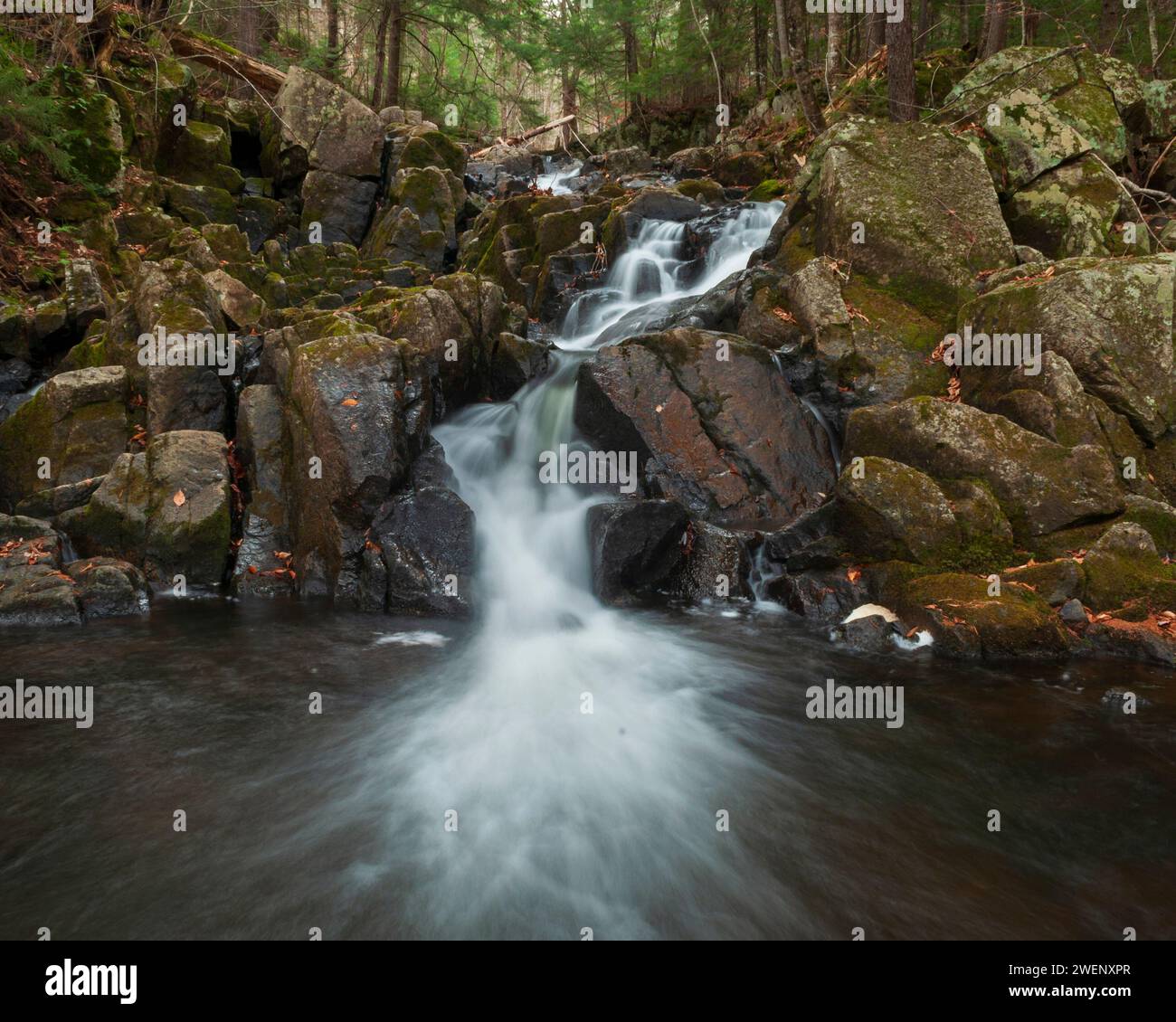 Chute d'eau sur Hour Brook dans la Siamese Ponds Wilderness Area dans les montagnes Adirondack de l'État de New York Banque D'Images