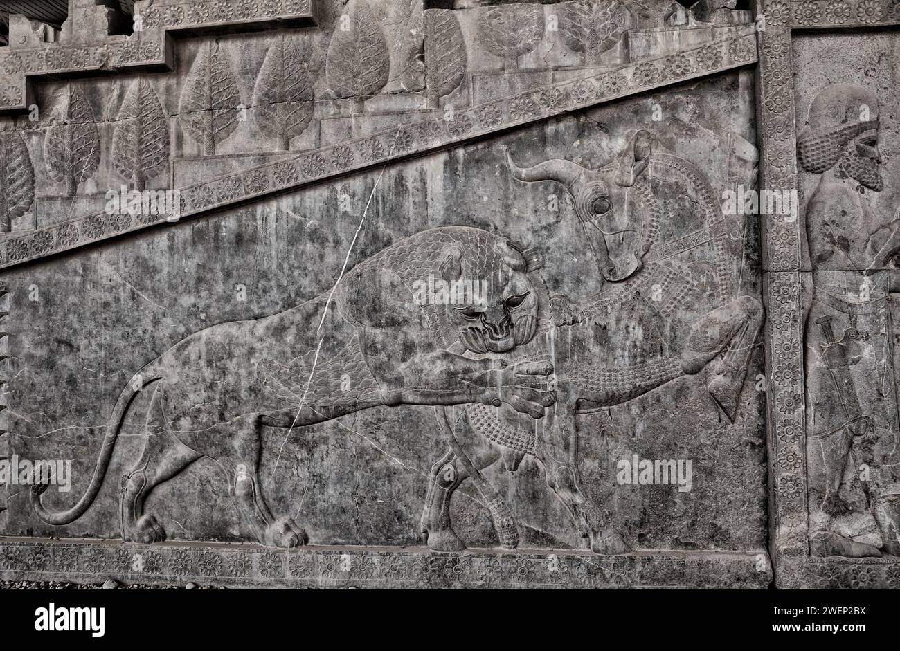Bas-relief ornant l'escalier du Palais Apadana représente un lion attaquant un taureau, symbole du printemps battant l'hiver. Persépolis, Iran. Banque D'Images