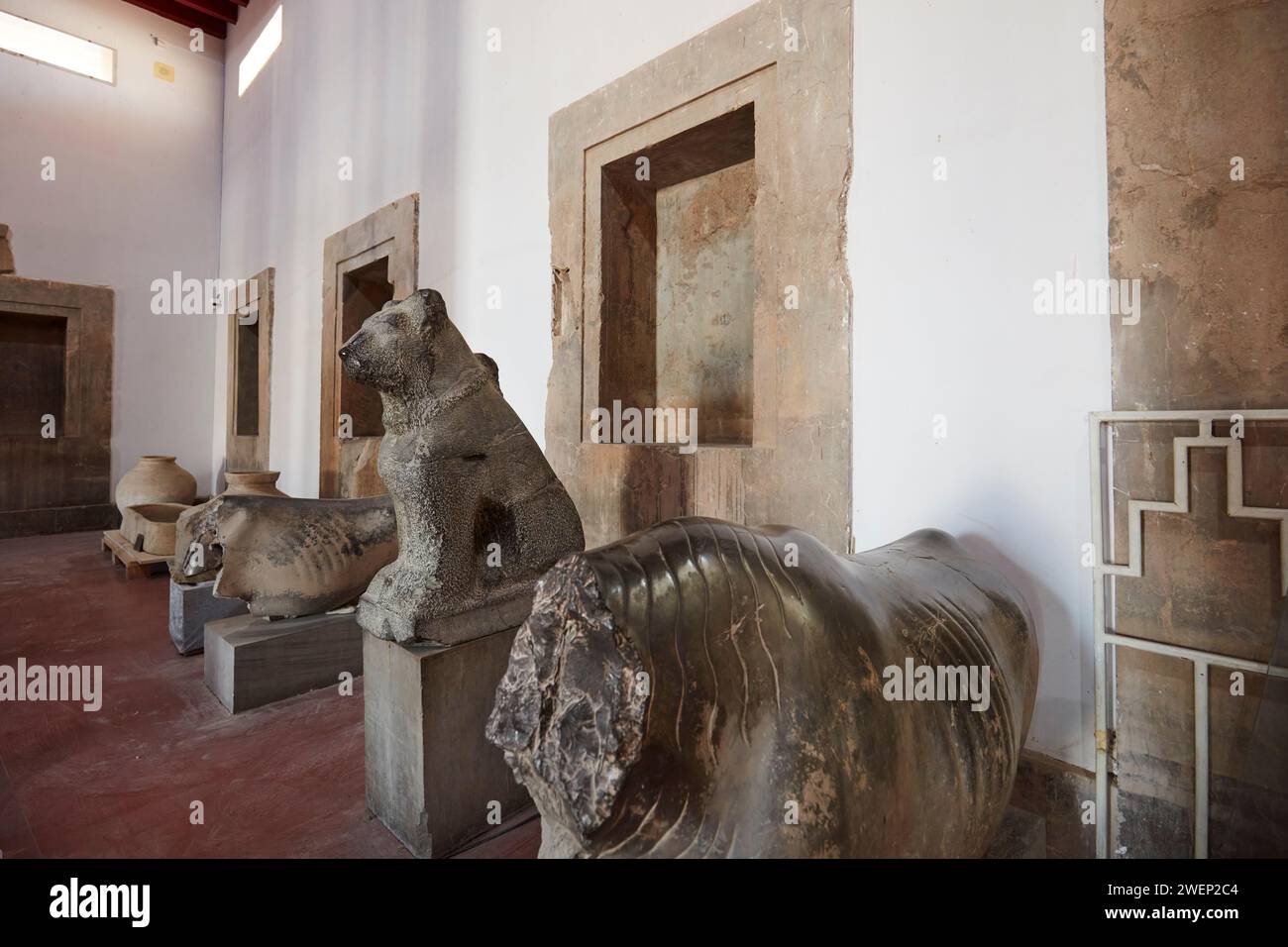 Statues de pierre anciennes trouvées à Persépolis et exposées dans le musée de Persépolis. Persépolis, province de Fars, Iran. Banque D'Images