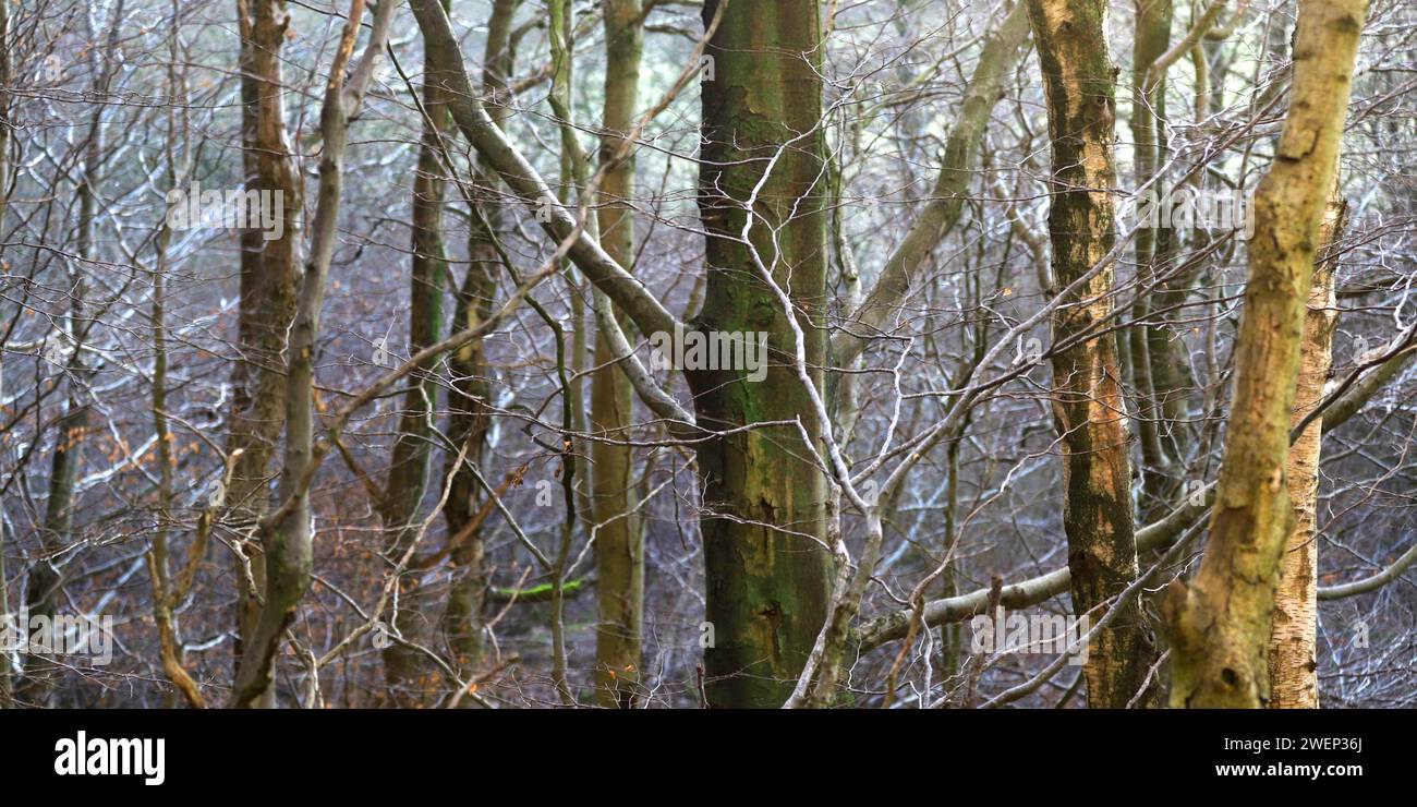 La communion est une image spirituelle et mentale entre toutes les confessions chrétiennes. Banque D'Images