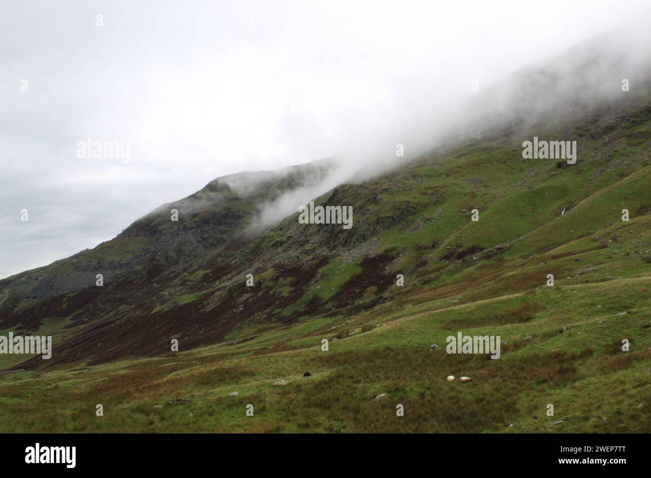 Lake District, Angleterre Banque D'Images
