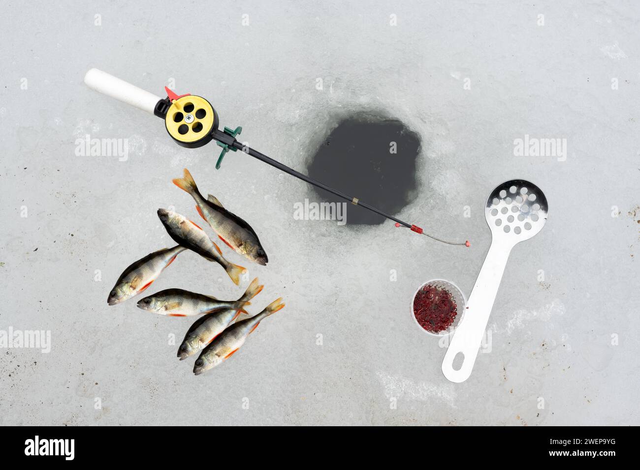 Concept de pêche d'hiver avec canne à pêche, appât de ver de sang et pêche de perche près du trou de glace Banque D'Images