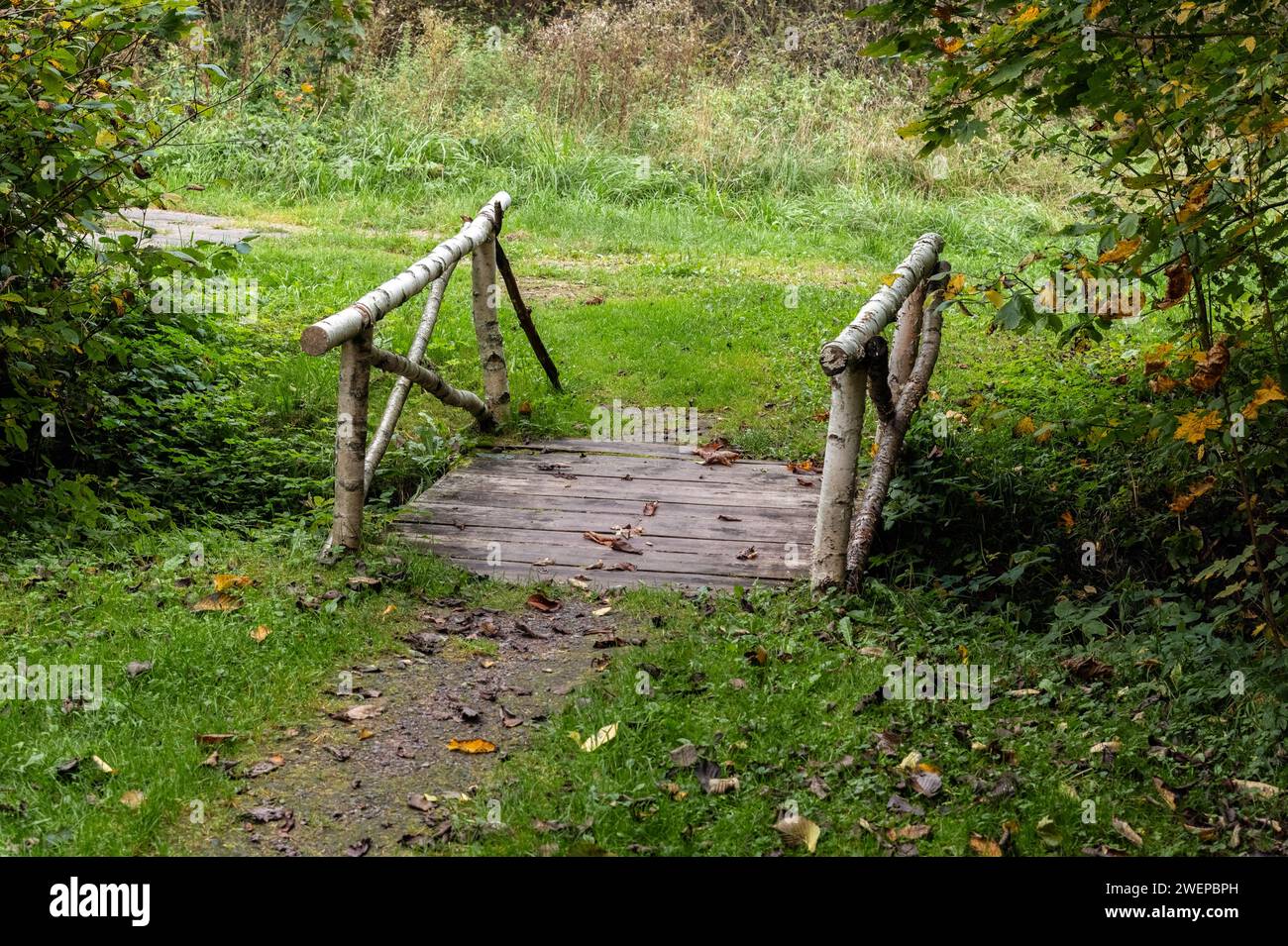 Passerelle au-dessus d'un ruisseau asséché avec une rampe faite de bâtons de bouleau recouverts d'écorce de bouleau dans la forêt d'automne. Banque D'Images