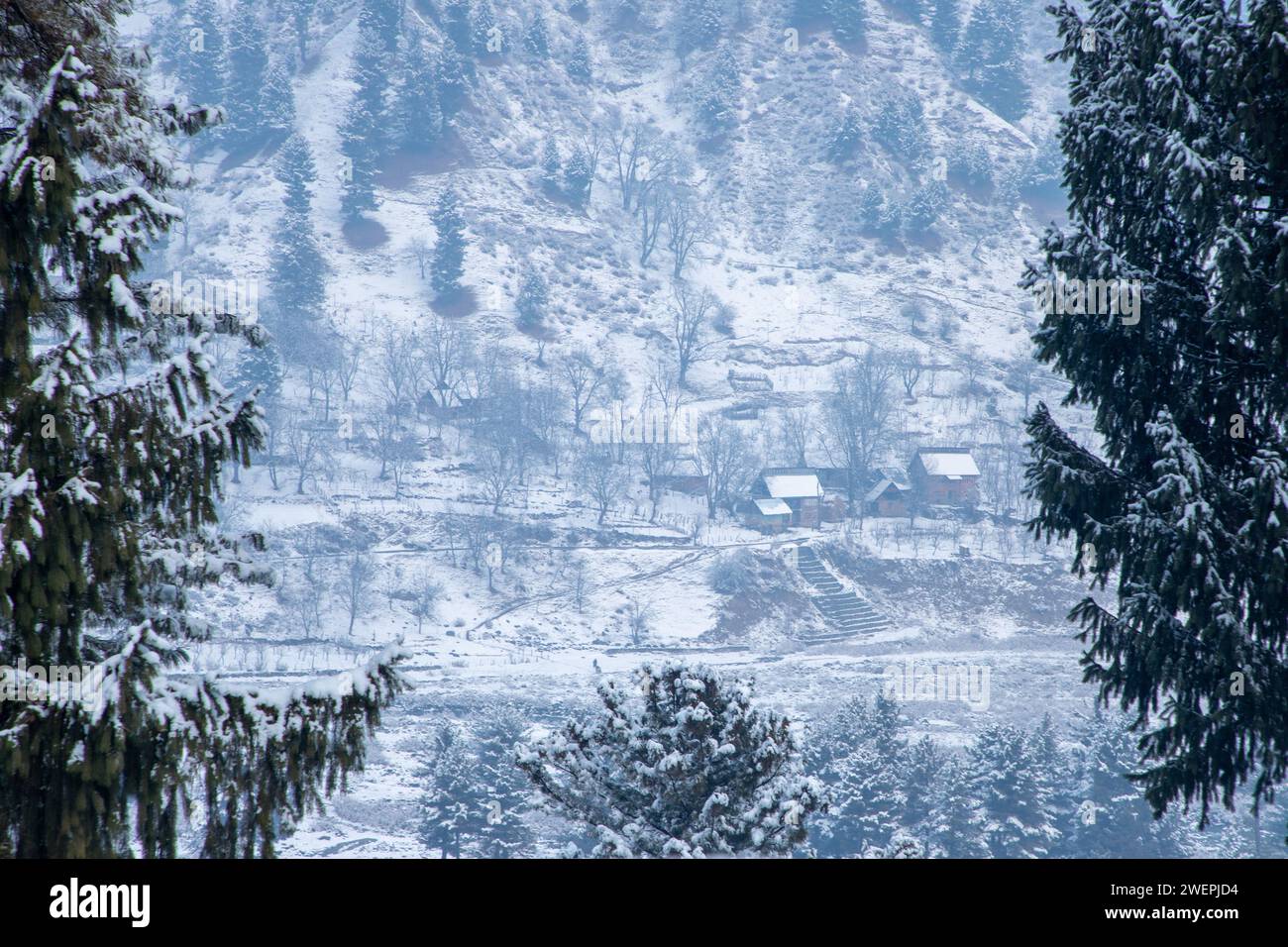 Vue générale des maisons résidentielles enneigées à Heerpora Shopian à environ 60 km au sud de Srinagar. Les chutes de neige fraîches dans les tronçons supérieurs de la vallée du Cachemire ont brisé l'une des plus longues périodes de sécheresse d'environ deux mois de cette saison. La plupart des tronçons supérieurs, y compris les sites touristiques comme Gulmarg, Sonmarg, Pahalgam et DoodhPathri, ont reçu de nouvelles chutes de neige. Les responsables de la circulation routière ont fermé la route moghole et la route nationale Srinagar-Leh pour permettre aux véhicules de circuler après l'accumulation de neige. (Photo de Faisal Bashir/SOPA Images/Sipa USA) Banque D'Images