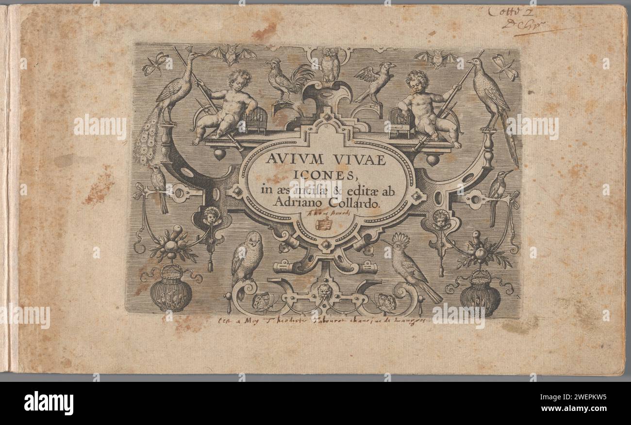Titre de la série en cartouche entouré d'oiseaux, Adriaen Collaert, 1570 - 1600 imprimer le titre de la série en cartouche, décoré de deux putti et oiseaux différents : au milieu d'un hibou, à gauche et à droite un paon, en bas à gauche un perroquet et à droite un lapwing. Prent fait partie d'un album Prentalbum avec sept tirages d'oiseaux et l'estampe du titre. gravure sur papier d'oiseaux Banque D'Images
