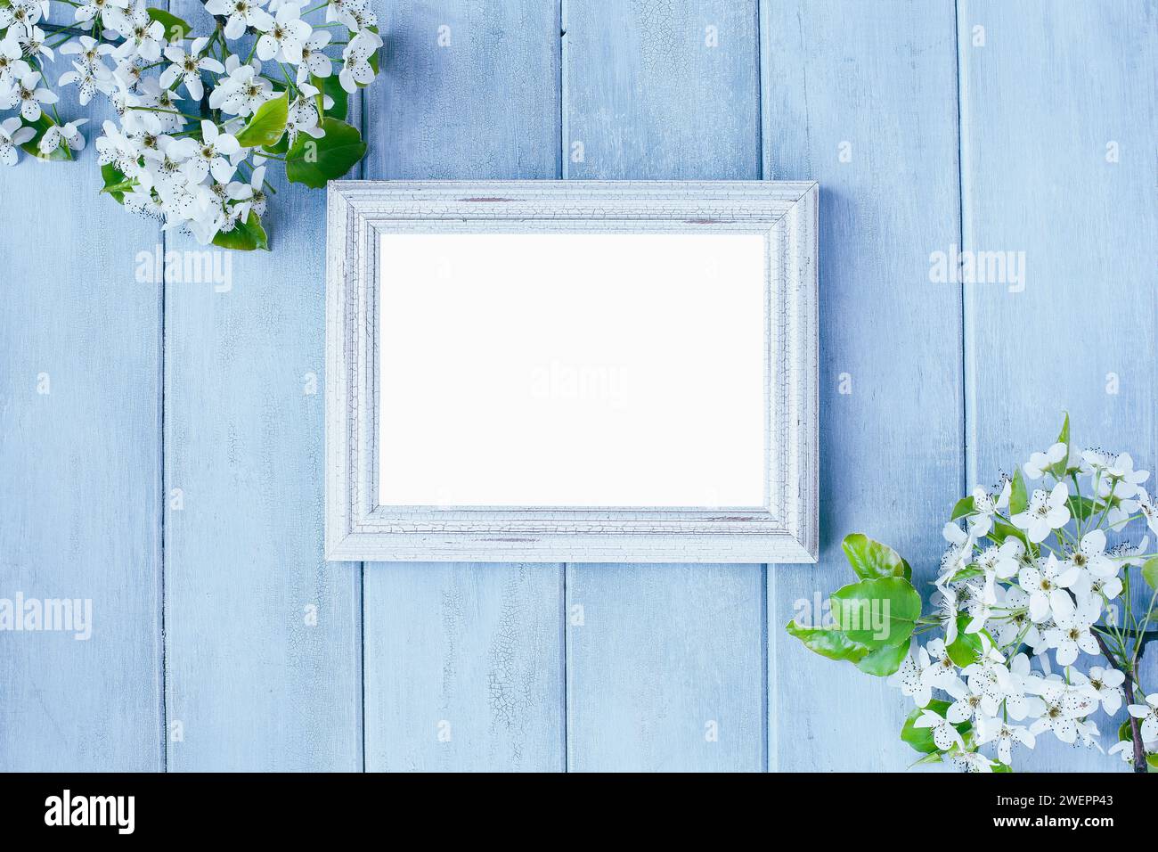 Cadre blanc rustique vide vierge sur fond bleu avec des fleurs de printemps. Vue de dessus de la table. Banque D'Images