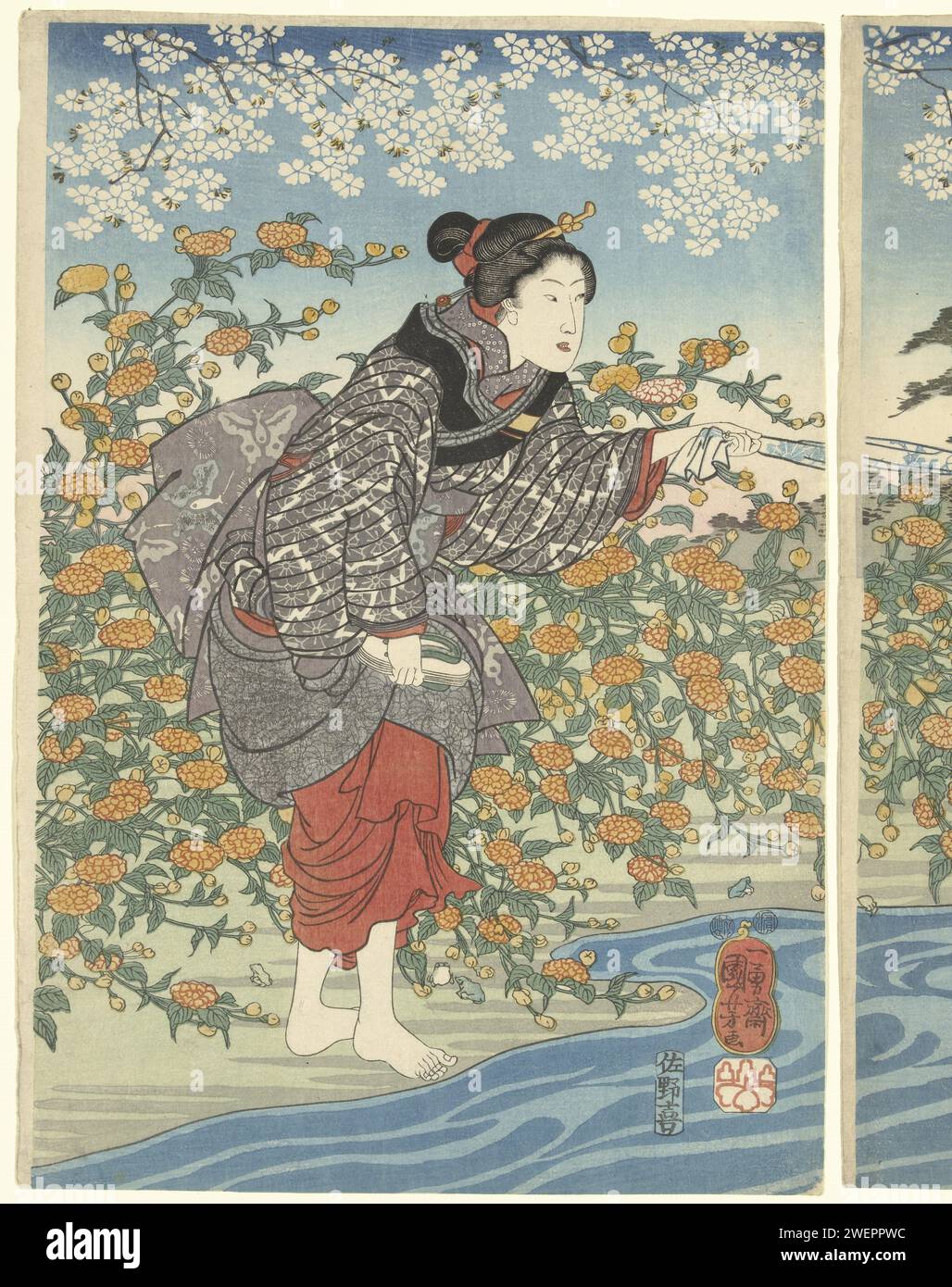 La rivière IDE Tama dans la province de Yamashiro, c. 1847 imprimer femme pieds nus, pantoufles dans la main droite et dans la main gauche un tissu serré, debout près de la rivière ; en arrière-plan gommage fermé avec des fleurs oranges entre lesquelles grenouilles, au sommet des branches de fleur. couleur du papier woodcut femme adulte. rivière. plantes ; végétation Banque D'Images