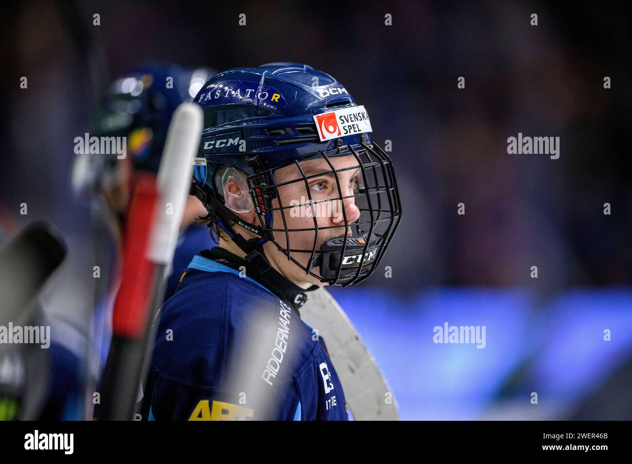 STOCKHOLM 2024-01-26 Djurgårdens Linus Eriksson Under fredagens match i HockeyAllsvenskan mellan Djurgårdens IF och Brynäs IF på Hovet. Foto Jonas von Hofsten / TT KOD 11577 ***BETALBILD*** Banque D'Images