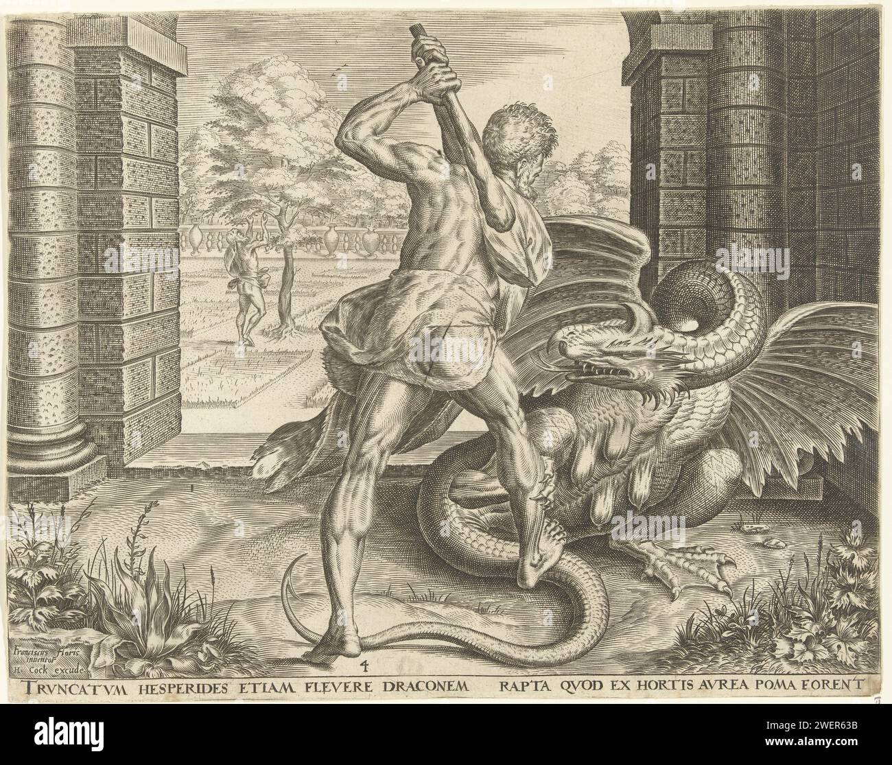 Hercule vole les pommes d'or des Hespérides, Cornelis Cort, d'après Frans Floris (I), c. 1563 impression Hercule vole les pommes d'or du jardin des Hespérides. Avec son club, il bat le serpent Ladon qui surveille l'entrée du jardin. En arrière-plan, il peut être vu comment il cueille les pommes de l'arbre. Gravure sur papier les douze travaux d'Hercule : deuxième série Banque D'Images