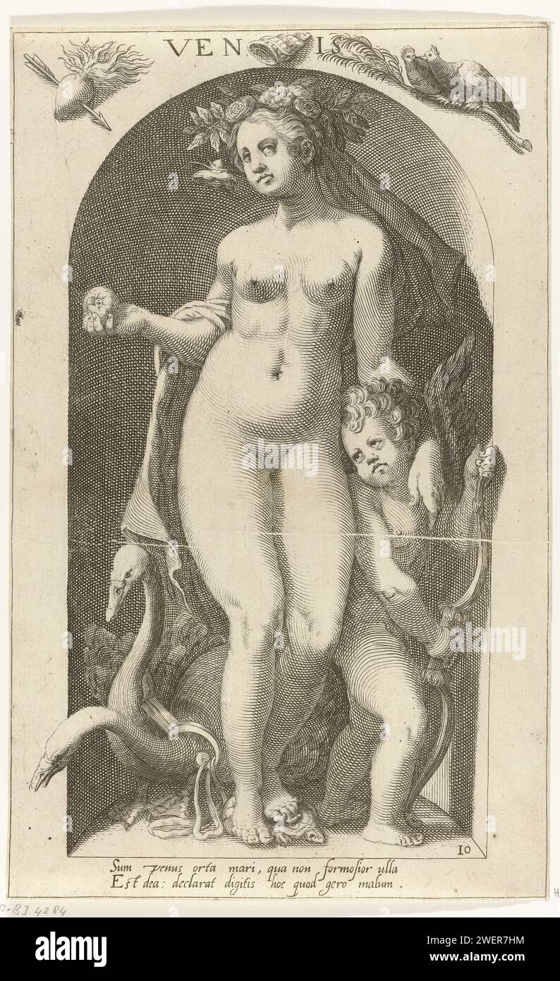 Vénus, Nicolaas Braeu, d'après Karel van Mander (I), 1598 imprimer une image de la déesse de l'amour Vénus, avec son compagnon Amor placé dans une niche. A côté d'eux deux cygnes qui tirent habituellement le chariot de Vénus. Sur le mur tournoyant et un cheveu brûlant comme symboles de l'amour et une coquille qui nous rappelle la naissance de Vénus de la mer. Une légende latine sous la représentation. Gravure sur papier (histoire de) Vénus (Aphrodite) Banque D'Images