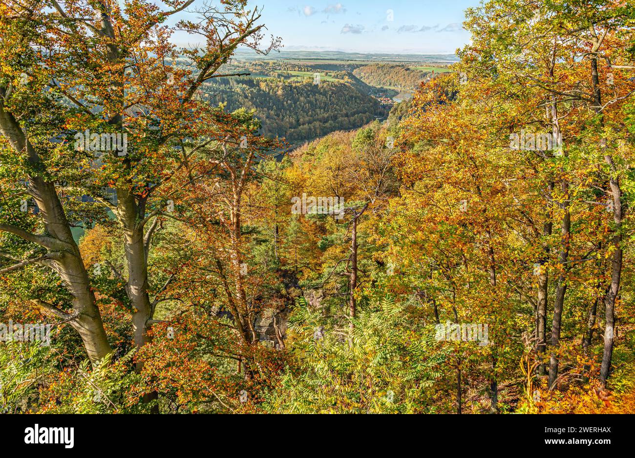 Forêt de hêtres colorée un matin d'automne en Suisse saxonne, Saxe, Allemagne, avec vue sur la vallée de l'Elbe Banque D'Images