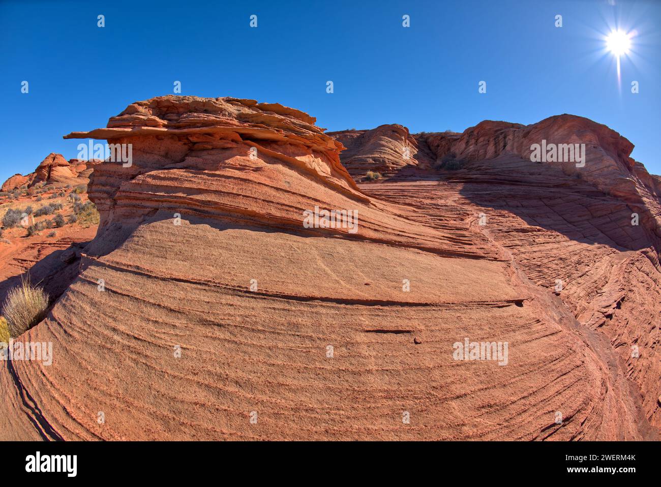 Une formation ondulée de grès au nord de Horseshoe Bend surplombe le fleuve Colorado à page Arizona. Banque D'Images