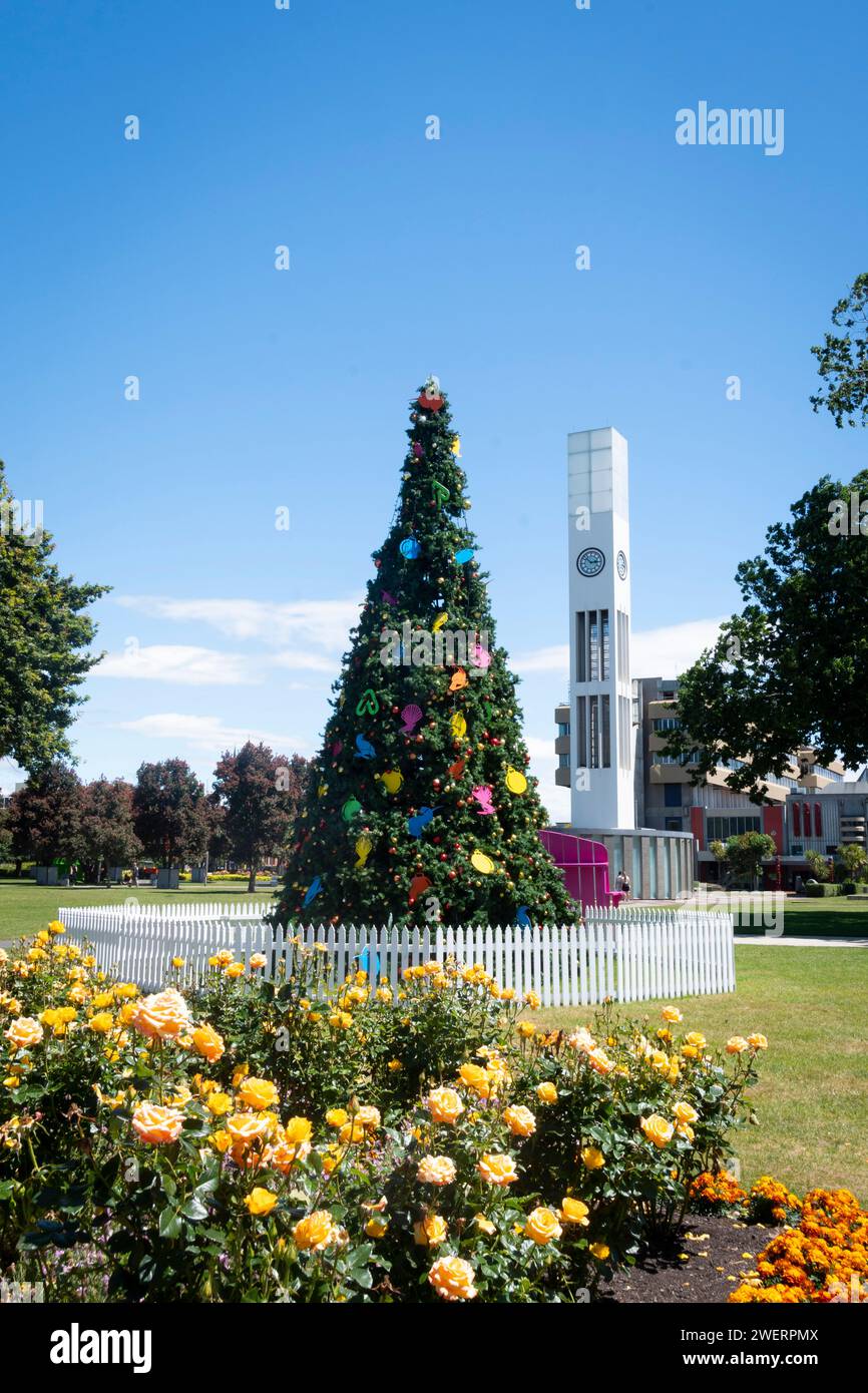 Arbre de Noël et Tour de l'horloge, The Square, Palmerston North, Manawatu, Île du Nord, nouvelle-Zélande Banque D'Images Arbre de Noël et Tour de l'horloge, The Square, Palmerston North, Manawatu, Île du Nord, nouvelle-Zélande Banque D'Images