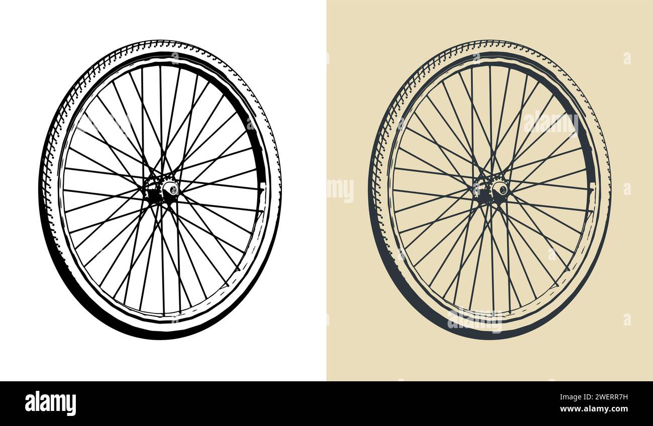 Illustrations vectorielles stylisées de roue de bicyclette. Pneu et moyeu à 36 rayons Illustration de Vecteur
